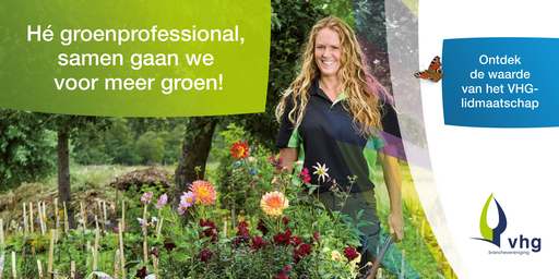 Ontdek de waarde van het VHG-lidmaatschap!