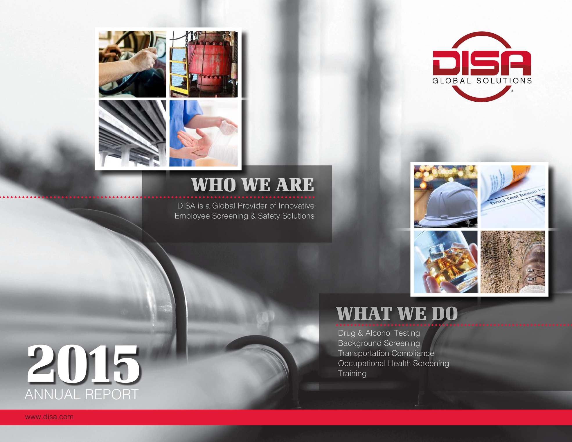 DISAGlobal: 2015 DISA Annual Report.pdf
